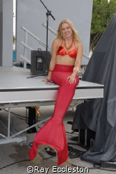 Mermaids, Just incase you didn't think they exist. Camera... by Ray Eccleston 
